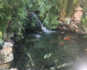 Koi Ponds Installation