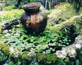 Water Feature Design